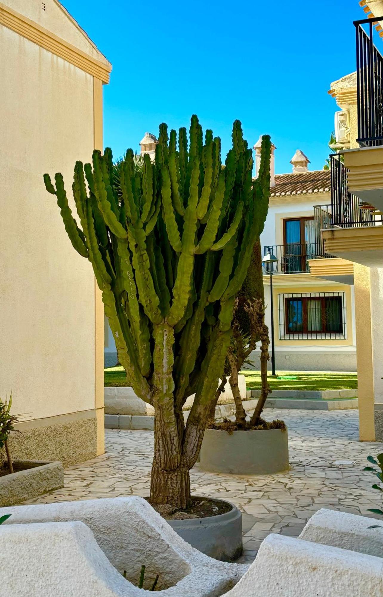 Casa Veranera Vera Costa Playas de Vera Esterno foto